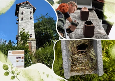 Turmstationen als Lebensraum: In Rückerswind und Friedrichshöhe schaffen Nisthilfen und Quartiere neue Möglichkeiten für Vögel und Fledermäuse. (Bild vergr&ouml;&szlig;ern)