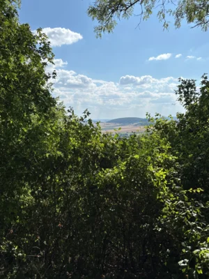 Das Bild zeigt den zugewachsener Aussichtspunkt unterhalb der Burgruine (Bild vergr&ouml;&szlig;ern)