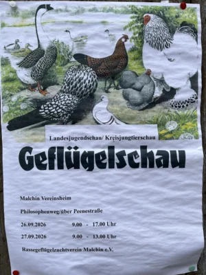 Rassegeflügelschau in Malchin