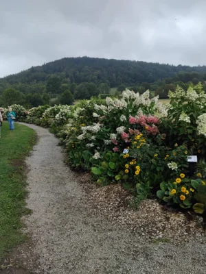 Hortensienpark Erbsmühle