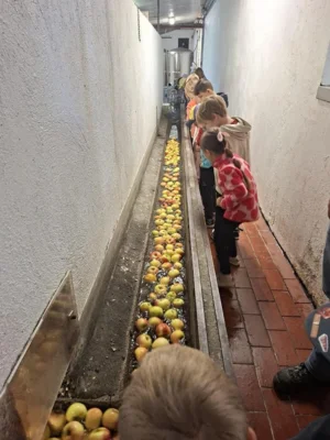 Zu Besuch bei Südpfalz Saft in Frankweiler