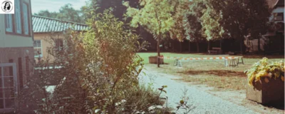 News, erstellt mit Canva, A.Bielska