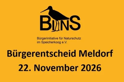 Bürgerentscheid am 22. November: Amtliche Bekanntmachung veröffentlicht