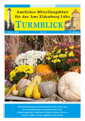 Meldung: Amtsblatt 10/2026 - Onlineversion erschienen