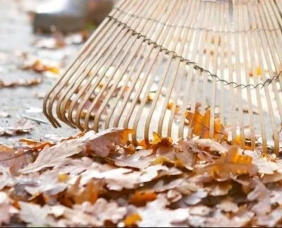 Meldung: Herbstlaub beseitigen!