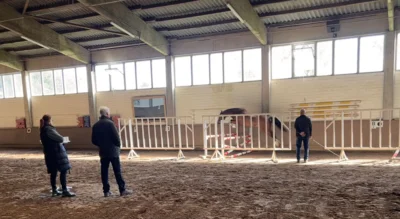 Lemon Llanfair bei der Freispringprüfung