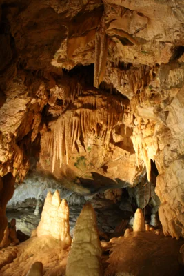 Markt Wiesenttal - Höhlenführer für die Binghöhle gesucht (Bild vergr&ouml;&szlig;ern)