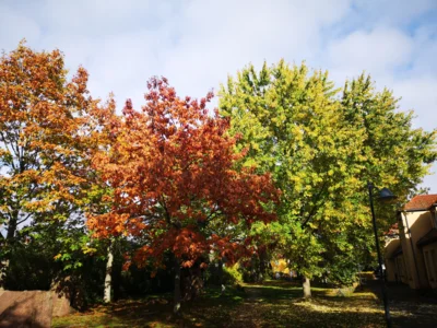 Wald und Flur sind keine Entsorgungsanlage!