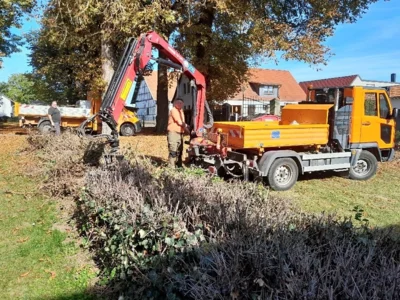 Beseitigung einer Hecke im OT Niederspier (Bild vergr&ouml;&szlig;ern)