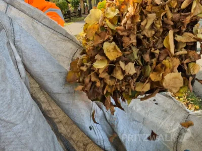 Hier kann das Straßenlaub eingefüllt werden. Die Entsorgung übernimmt die Stadt. Foto: Stadt Pritzwalk (Bild vergr&ouml;&szlig;ern)