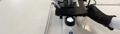 Neurobiologie zum Anfassen (Bild vergr&ouml;&szlig;ern)