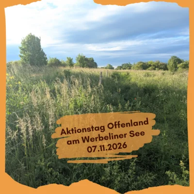 Aktionstag Offenland, LPV Nordwestsachsen (Bild vergr&ouml;&szlig;ern)