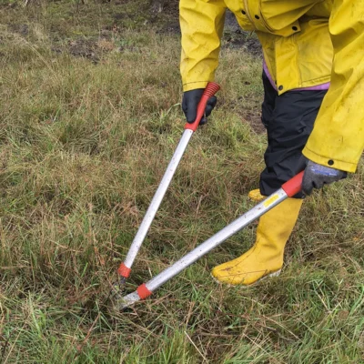 Arbeitseinsatz für die Heide Frörupsand