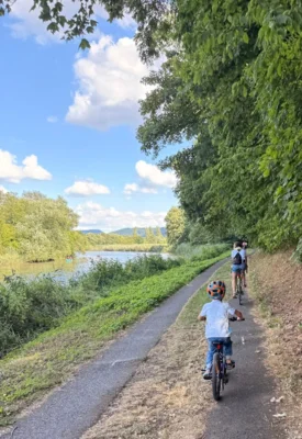 Radweg an der Werra (Bildnachweis: Röhrig-Dietrich 2026)