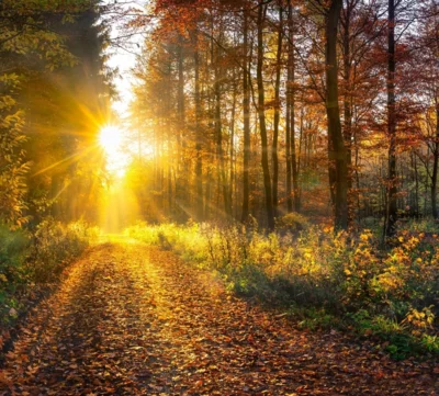 Herbstferien