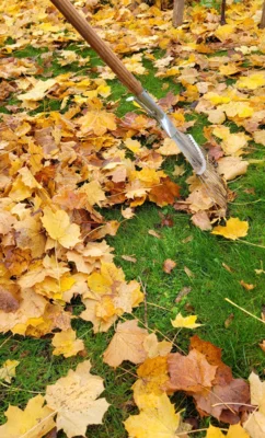 Herbstlaub - ein wertvoller Helfer im Garten