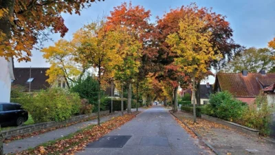 Laub- und Grünschnittaktion (Bild vergr&ouml;&szlig;ern)