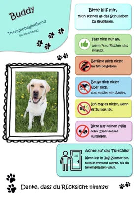 News von Buddy
