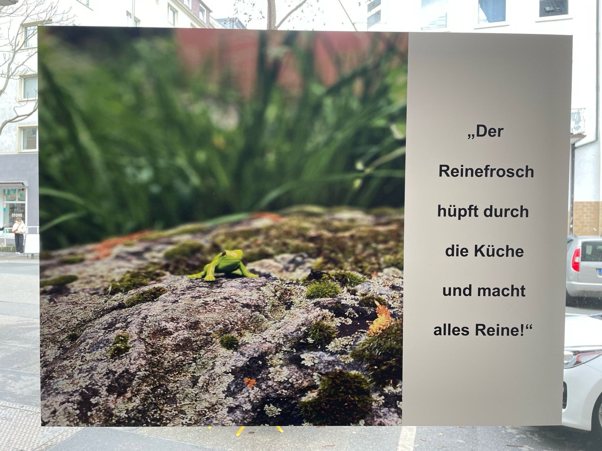 Das kleine Volk in der Fluxusschule