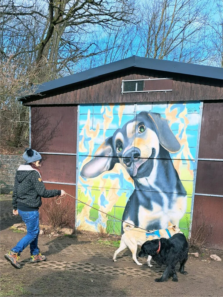 Dilon trainiert vor einen Grafiti Hundebild