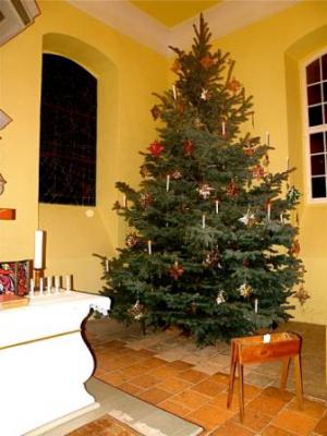 Ein wunderschöner Weihnachtsbaum (Bild vergrößern)