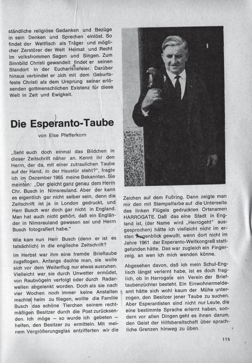 1965_Taube-002