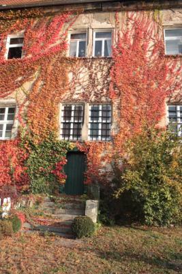 Der Herbst ist ein großer Maler (Bild vergr&ouml;&szlig;ern)