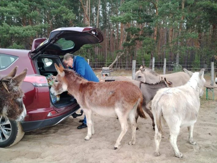 Patentreffen