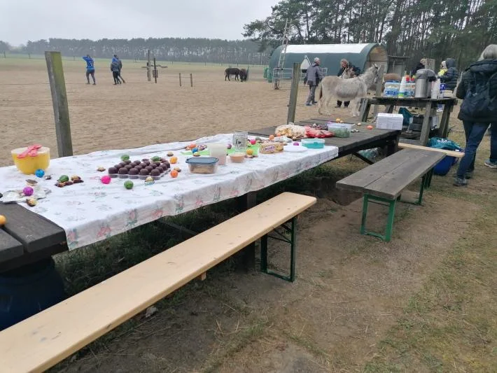Patentreffen