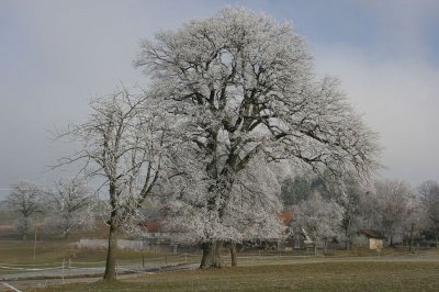 Foto zur Meldung:  Winterferien - eine kleine Pause