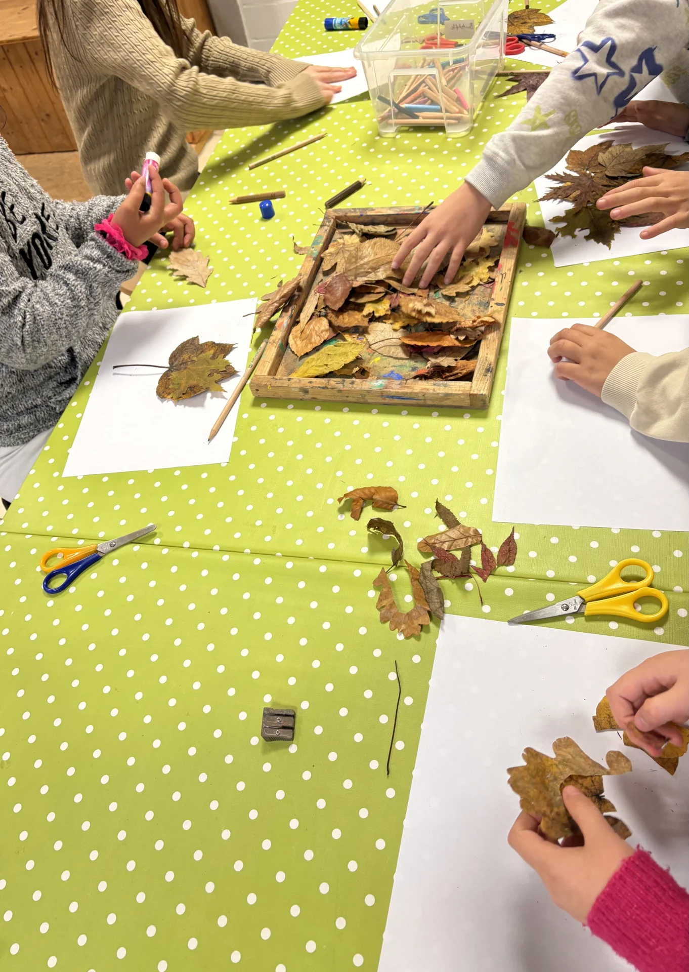Kulturstrolche 2b
