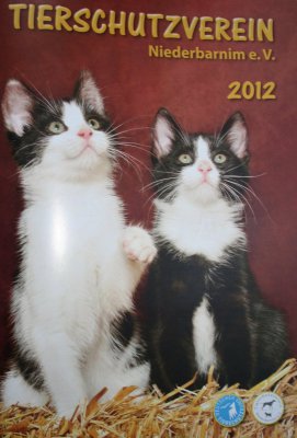 Die neue Tierheimbroschüre 2012 ist erschienen (Bild vergrößern)