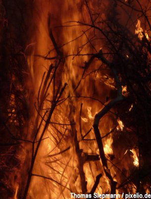 Vorschaubild zur Meldung: Waldbrandwarnstufe 3