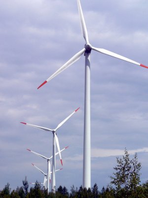  "Energie-Kommune" des Monats März - Gemeinde Schipkau