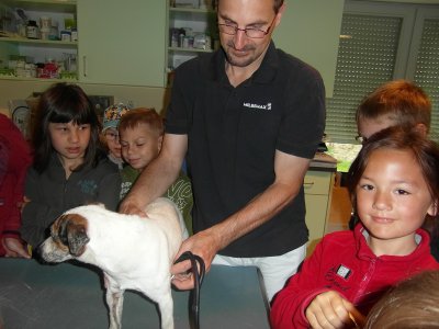 Foto zur Meldung: Besuch beim Tierarzt Dr. Müller in Egeln