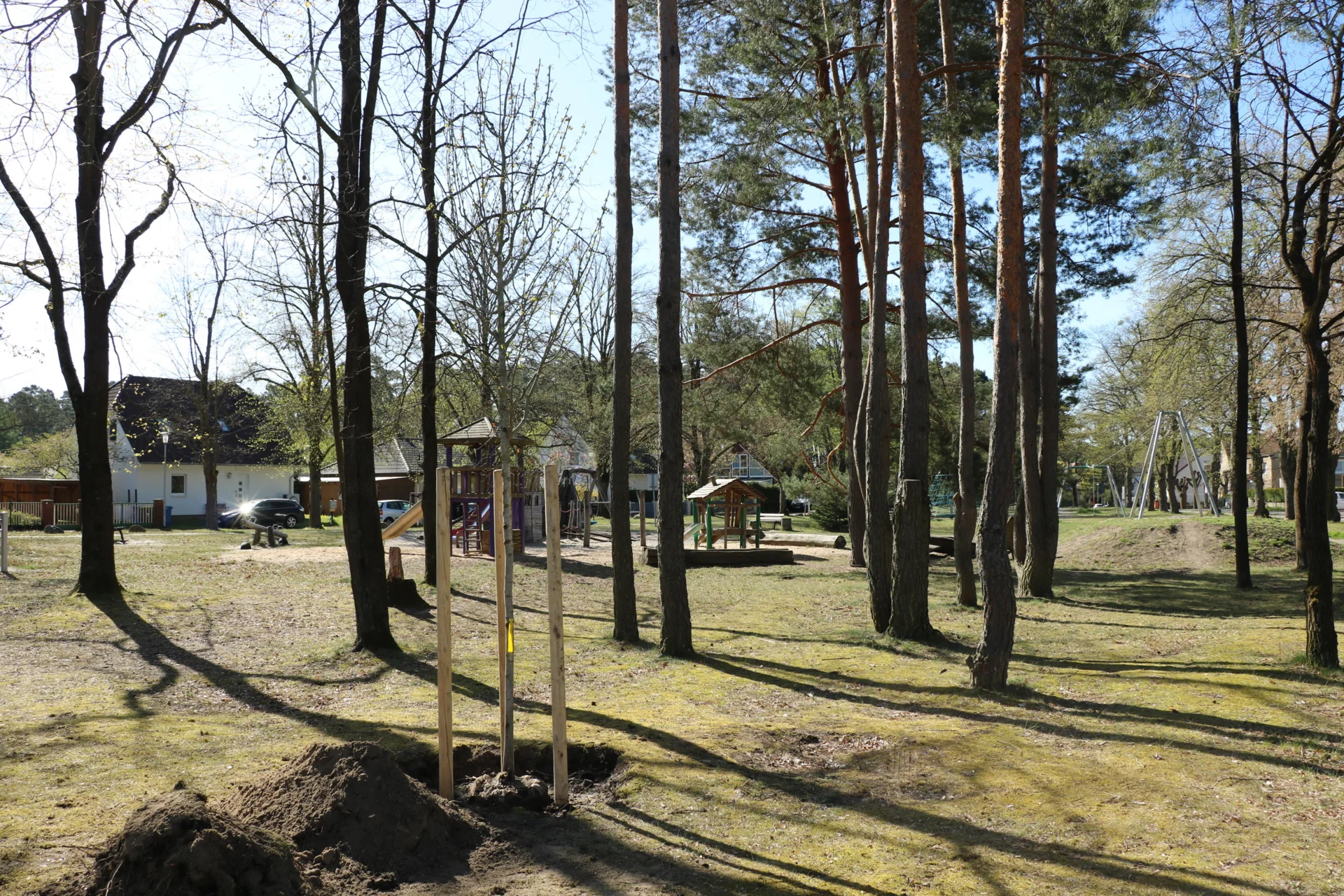 Baumpflanzung_2026 (2)