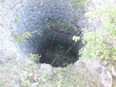 Sicherungsmaßnahmen und Baumschnitt an der Haineck (Bild vergr&ouml;&szlig;ern)