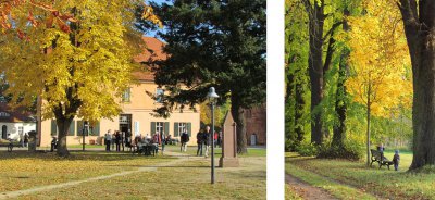 Der Herbst in der Gemeinde Kloster Lehnin  (Bild vergrößern)