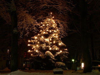 Vorweihnachtliches in der Gemeinde Schipkau