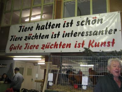Mühlberger Kleintierzüchter stellten aus (Bild vergr&ouml;&szlig;ern)