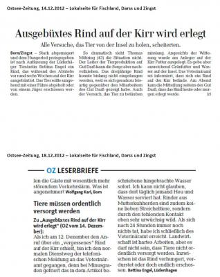 Foto zur Meldung: Presseberichte zu "vergessenem" Rind auf der Kirr (vor Zingst) Foto zur Meldung: Presseberichte zu "vergessenem" Rind auf der Kirr (vor Zingst)