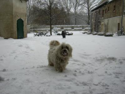 Es wurde noch einmal Winter (Bild vergrößern)