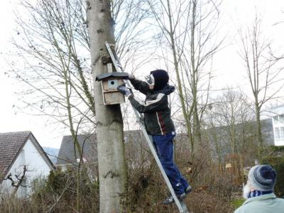 Projekt Vogelfreund: Frühjahrsreinigung der Nistkästen (Bild vergrößern)