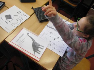 Dinosaurier-Projekt (Bild vergrößern)