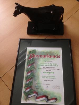 Ehrenpreis des Rinderzuchtverbandes Berlin-Brandenburg (Bild vergrößern)