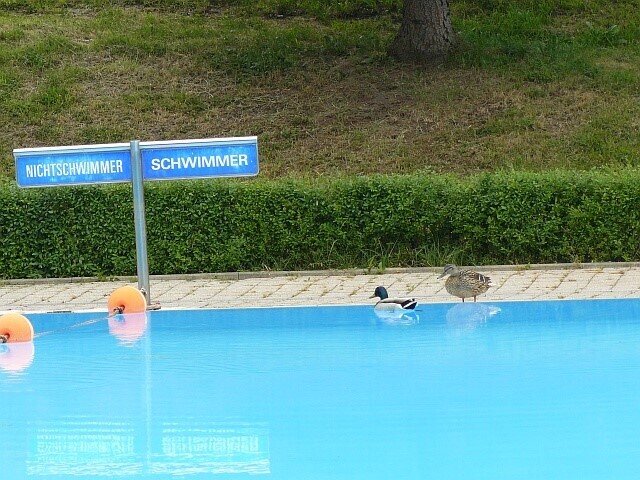 Bild zur Meldung