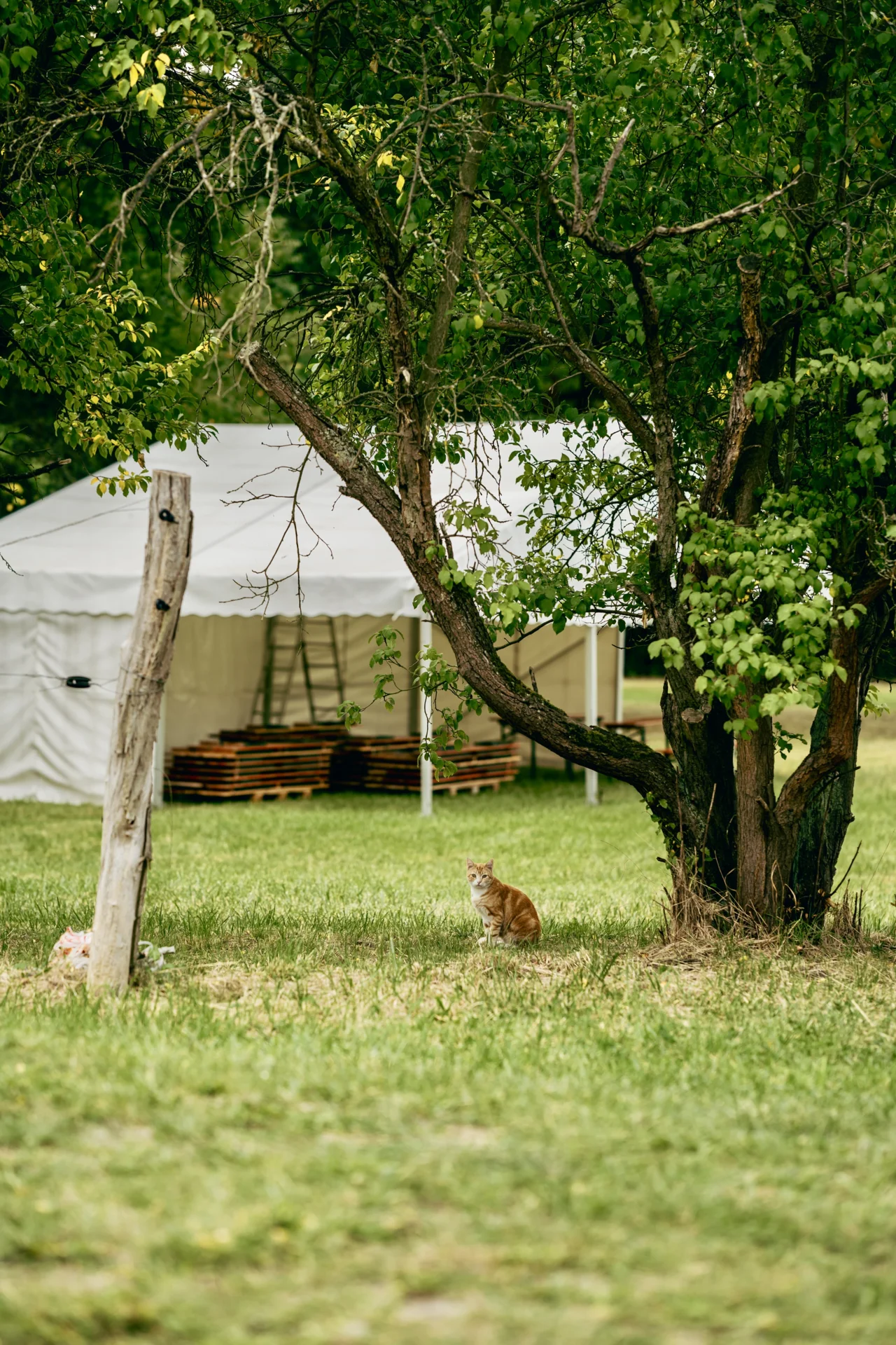 Die ersten "Gäste" sind schon da... Foto: LK OSL / Maria Bühler