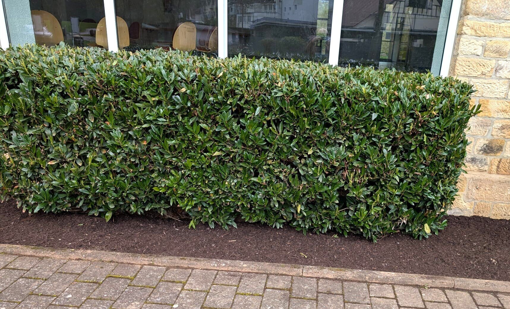 Hecke tiptop