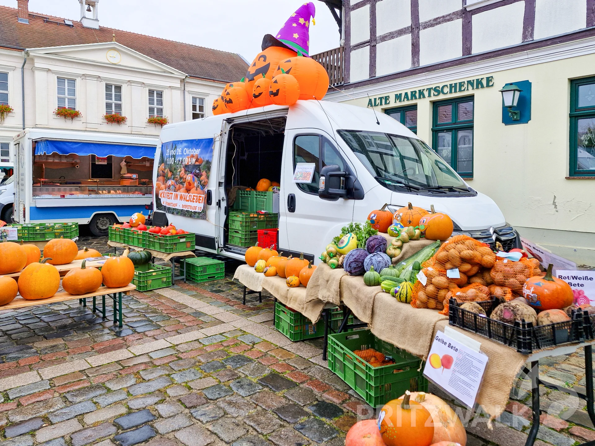 Susanne und Johannes Lentz vom Bio-Bauernhof „Temnitzhof“ aus Walsleben hatten Kürbisse in vielen Farben und Formen dabei. Foto: Stadt Pritzwalk