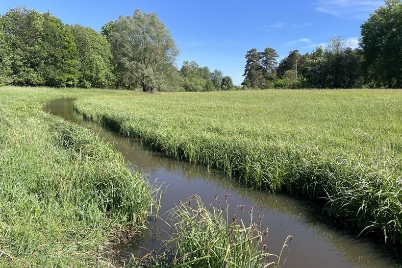 Mühlbach Kagar bei Wallitz Foto A. Franz